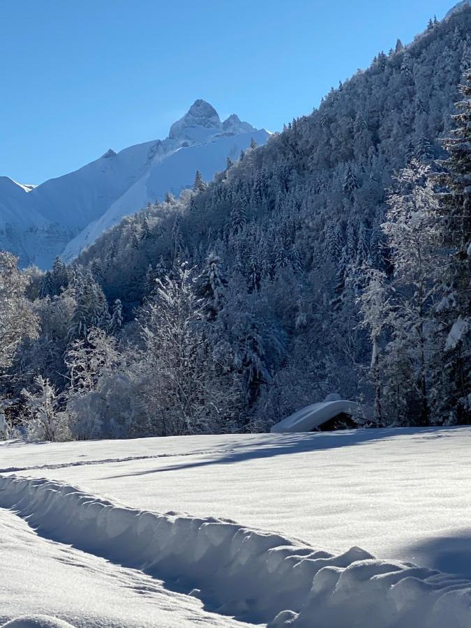 Landhaus Am Plattenbichl - Luxus Apartment Mit Privat-Pool Und Sauna - Im Sommer Bergbahn Inklusive Oberstdorf Buitenkant foto