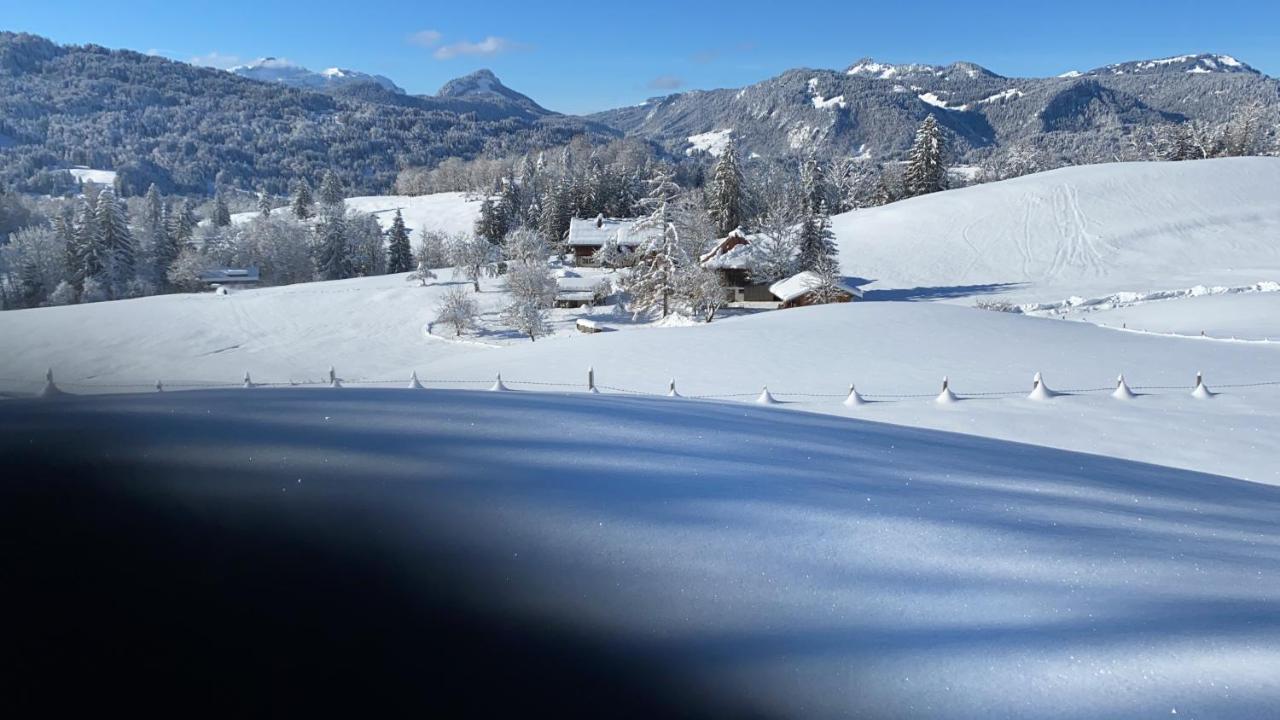 Landhaus Am Plattenbichl - Luxus Apartment Mit Privat-Pool Und Sauna - Im Sommer Bergbahn Inklusive Oberstdorf Buitenkant foto