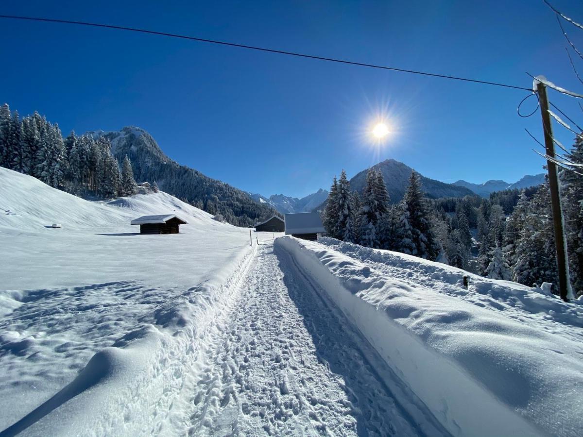 Landhaus Am Plattenbichl - Luxus Apartment Mit Privat-Pool Und Sauna - Im Sommer Bergbahn Inklusive Oberstdorf Buitenkant foto